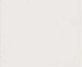 Керамогранит Riga White 20*20