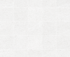 Мозаика 25428 D.Mystic White Mosaic/25X25 25x25