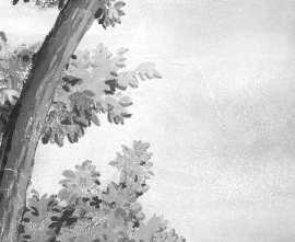 Керамогранит M8ZF Grande Resin Look Grisaille B Bianco Satin 120х278