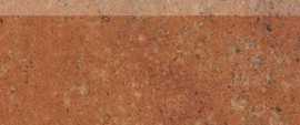 Керамогранит DSAPM665 cotto 45x8,5