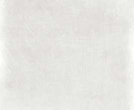 Керамогранит DAA44740 Rebel White-Grey 45x45