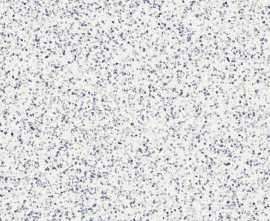 Керамогранит MMZY Frammento Macro Azzurro R10 RT 120x120