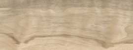 Керамогранит 074.922.0119.13262 Walnut Sand 20x120