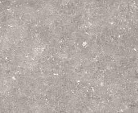 Керамогранит 096.022.0002.00206 Dover Gris MT Rect 60x120