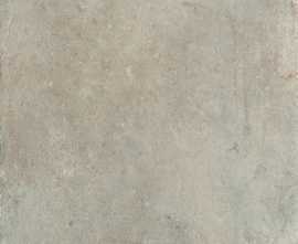 Керамогранит 1068372 Promenade Argento Rett 120x120