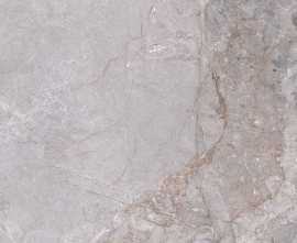 Керамогранит Fior Di bosco Grey 60x60
