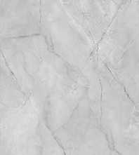 Керамогранит F918G10131 Fish Maw Grey Glossy 90x180