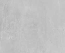 Керамогранит Industrial Light Grey (P) Mat. 60x120