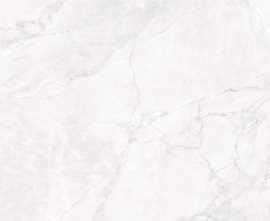 Керамогранит CR4007-A Arctic White Carving 60x120