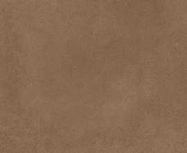 Керамогранит ENCLR6066MT2020 Levels Cedar Matt 200х200х8