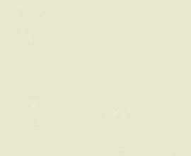 Керамогранит ENCLR6081MT2020 Corsica Beige Matt 200х200х8