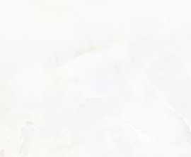 Керамогранит ETONX1224GL6060 Onix Pearl Glossy 60x60