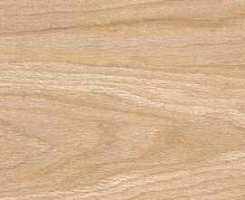Керамогранит Forest Bamboo Matt 20x120