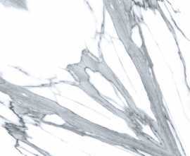 Керамогранит Bookmatch Scatter White 60x60