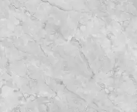 Керамогранит R_PR2016 Silver Cascade Polished 60x120