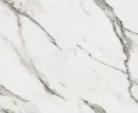 Керамогранит R_PR2005 Divine Calacatta Polished 60x120