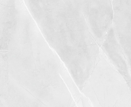 Керамогранит R_PR2015 Floris Bianco Polished 60x120