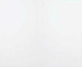 Керамогранит White Glossy 60x120