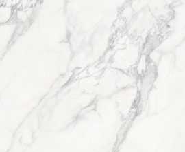 Керамогранит TR61206T Arctic Veil Карвинг матовая 60x120