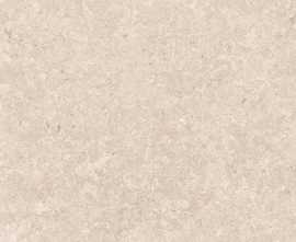 Керамогранит Stone 548 Sand R11/C 665х330х10
