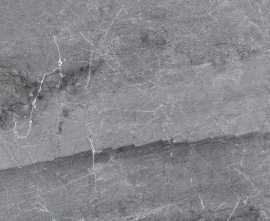 Керамогранит Marble 441 Ceniza R9 665х330х10