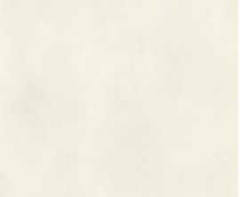 Керамогранит JA3009M Putty White Text 120x270