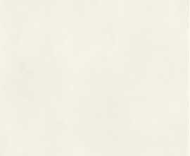 Керамогранит JA3012M Glossy Putty White Text 120x270
