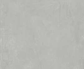 Керамогранит RT7007-A Symphony Gris Matt Rustic 60x120