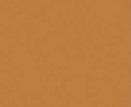 Керамогранит JS6022P Sunchine Orange Matt 120x280