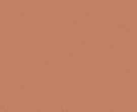 Керамогранит JS6021P Arcilla Red Matt 120x280