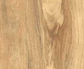 Керамогранит Taiga Light Matt Carving 60х120