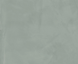 Керамогранит 303948 Paint Salvia Rett R10 60x120