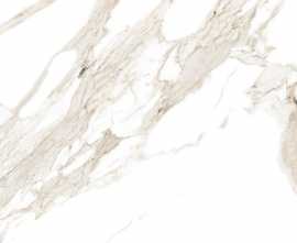 Керамогранит Statuario Carara Glossy R 60х120