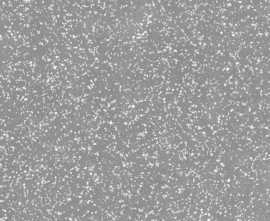 Керамогранит 9294 Valentino Grey Matt 100x100