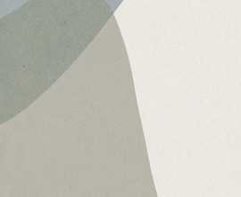 Керамогранит GCBESHARTIR HBE Bioterre Shapes Artico Rett 60x120