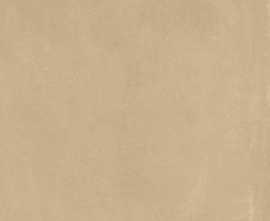 Керамогранит AGNR Prima Sienna Soft 60x120