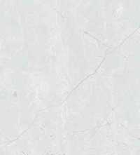 Керамогранит RS 123 White Carving 60x120