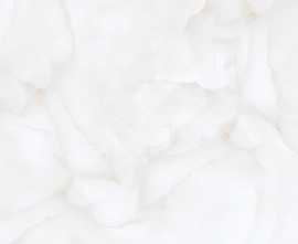 Керамогранит RS Brais White Carving 60x60