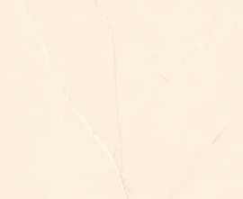 Керамогранит Scarlet Ivory Glossy 60х120