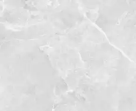 Керамогранит Beta Silver Carving 60x60