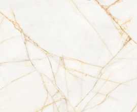 Керамогранит PF60017518 Supreme Hedonism Golden Spider Nat R 60x120