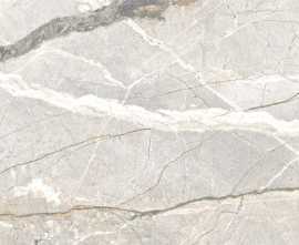 Керамогранит PF60017241 Supreme Hedonism Silver Roots Lux 3D R 60x120