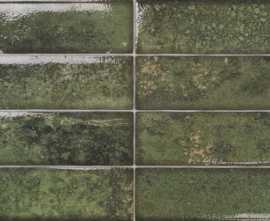Керамогранит Dream Green 30x60