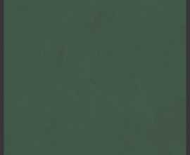 Керамогранит 764105 Policroma Cornice Conifera Mat Ret 6mm 120x120