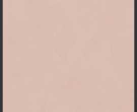 Керамогранит 764102 Policroma Cornice Cipria Mat Ret 6mm 120x120