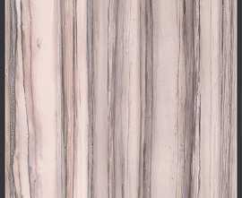 Керамогранит 764108 Policroma Arco Valtoce-Cipria Mat Ret 6mm 120x240