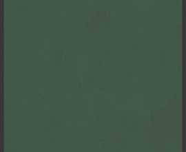 Керамогранит 764097 Policroma Cornice Conifera Mat Ret 6mm 120x240