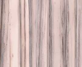 Керамогранит 764056 Policroma Valtoce Mat Ret 6mm 120x120