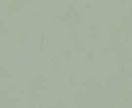 Керамогранит 764046 Policroma Lichene Mat Ret 6mm 120x240