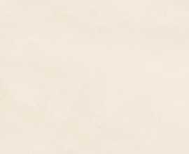 Керамогранит ELNV Pigmento Crema Silktech R10 Rett 60x120